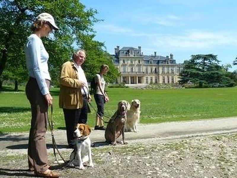 votre-pension-pour-chiens-et-chats-m-rignac-chenil-bellevue